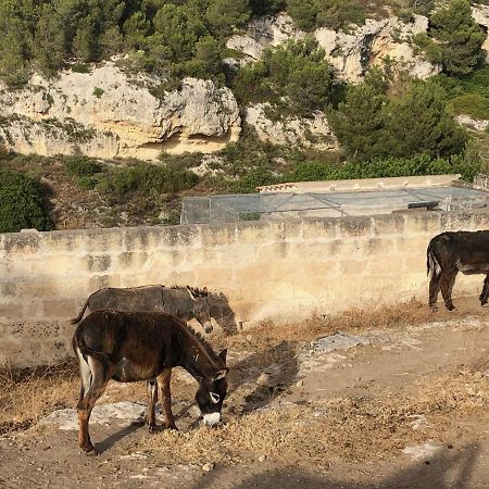 מוטולה Villino Odaldo מראה חיצוני תמונה