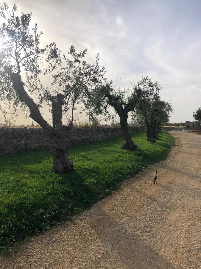 מוטולה Villino Odaldo מראה חיצוני תמונה