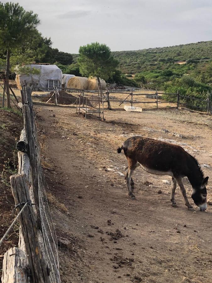 מוטולה Villino Odaldo מראה חיצוני תמונה