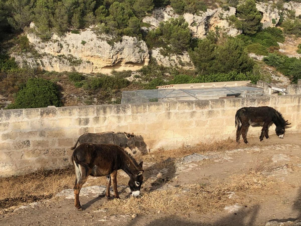 מוטולה Villino Odaldo מראה חיצוני תמונה